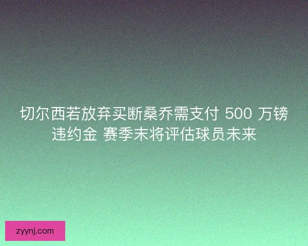 切尔西若放弃买断桑乔需支付 500 万镑违约金 赛季末将评估球员未来